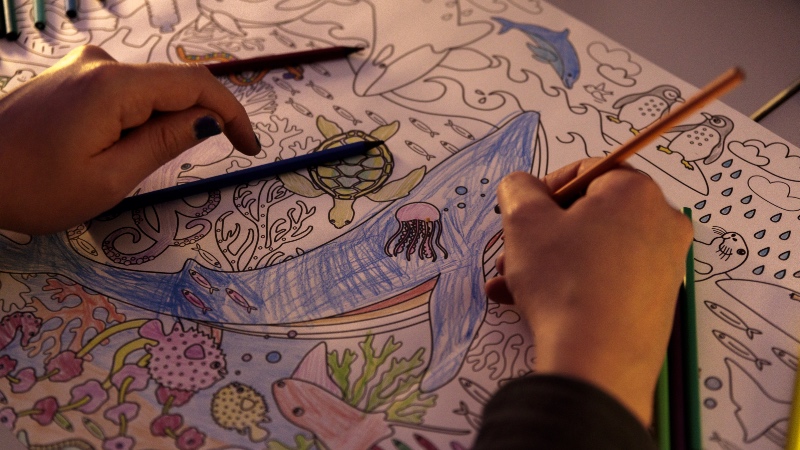 Ein Blauwal bekommt Farbe